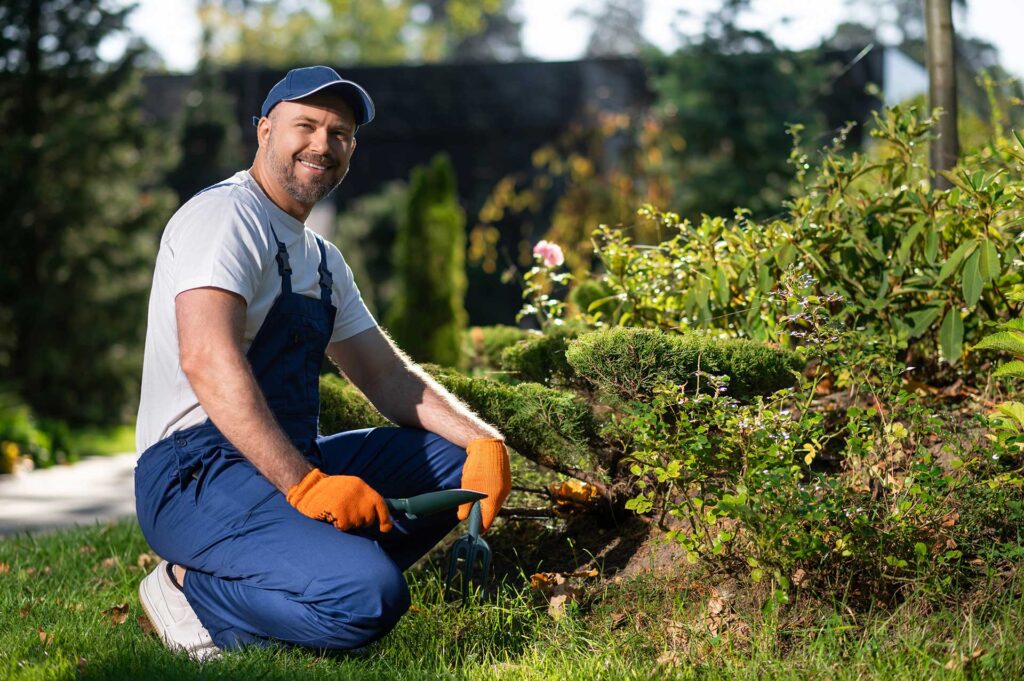 Smiling gardener kneels beside neatly trimmed shrubs
